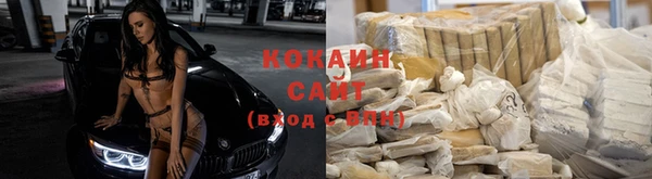 трава Аркадак