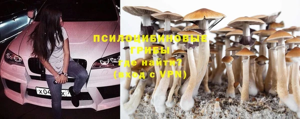 крисы Арсеньев