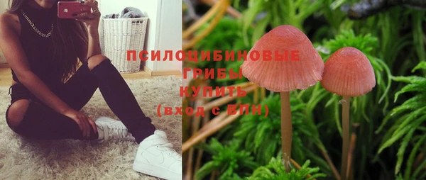 молекула духа Балабаново
